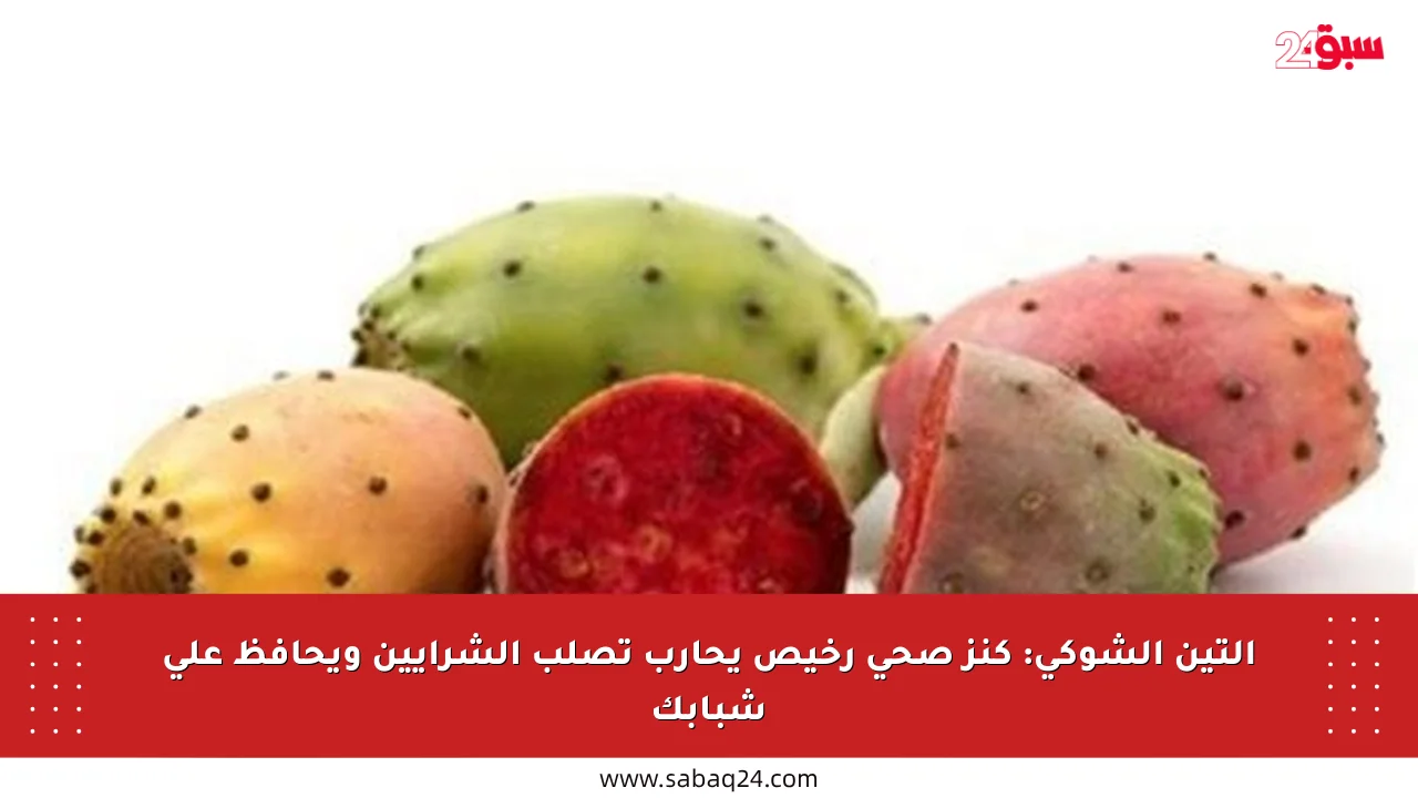التين الشوكي: كنز صحي رخيص يحارب تصلب الشرايين ويحافظ على شبابك